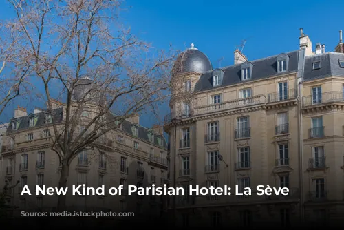 A New Kind of Parisian Hotel: La Sève