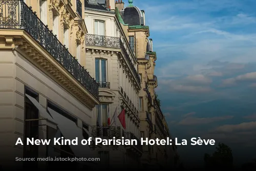 A New Kind of Parisian Hotel: La Sève