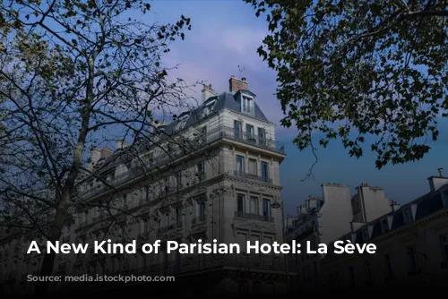 A New Kind of Parisian Hotel: La Sève