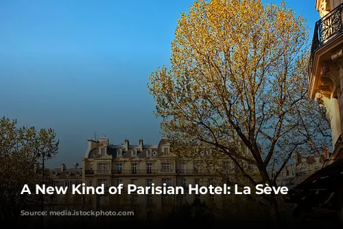 A New Kind of Parisian Hotel: La Sève