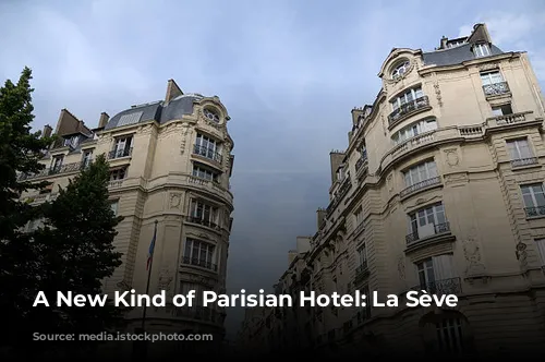 A New Kind of Parisian Hotel: La Sève