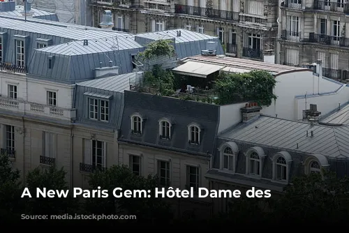 A New Paris Gem: Hôtel Dame des Arts