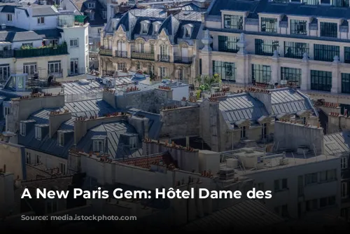 A New Paris Gem: Hôtel Dame des Arts