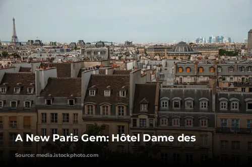 A New Paris Gem: Hôtel Dame des Arts