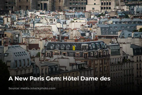 A New Paris Gem: Hôtel Dame des Arts