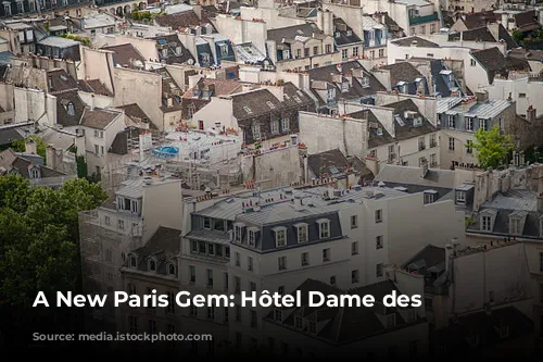 A New Paris Gem: Hôtel Dame des Arts