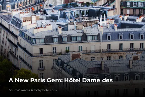 A New Paris Gem: Hôtel Dame des Arts