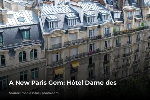 A New Paris Gem: Hôtel Dame des Arts