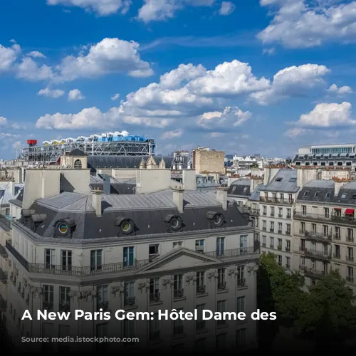 A New Paris Gem: Hôtel Dame des Arts