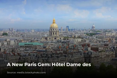 A New Paris Gem: Hôtel Dame des Arts