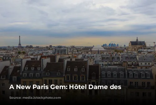 A New Paris Gem: Hôtel Dame des Arts