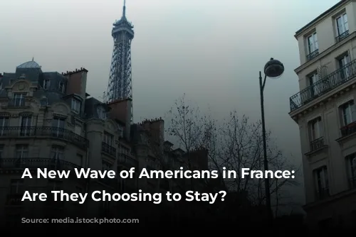 A New Wave of Americans in France: Why Are They Choosing to Stay?