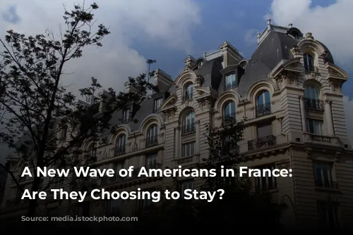 A New Wave of Americans in France: Why Are They Choosing to Stay?