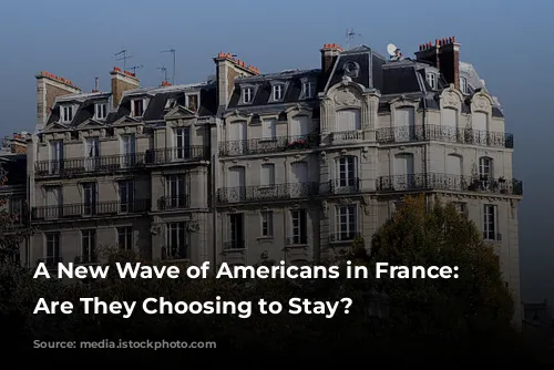 A New Wave of Americans in France: Why Are They Choosing to Stay?