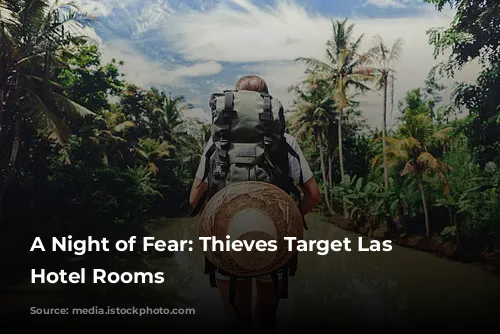 A Night of Fear: Thieves Target Las Vegas Hotel Rooms