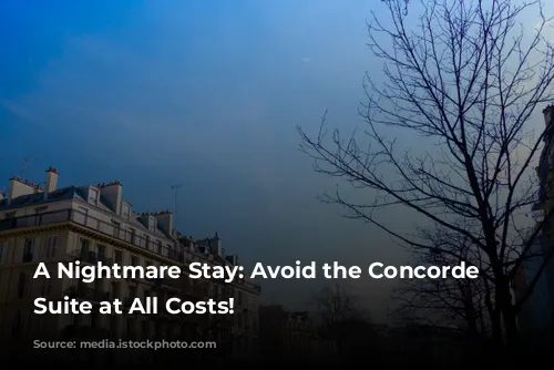 A Nightmare Stay: Avoid the Concorde Executive Suite at All Costs!