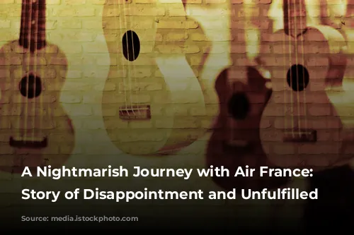 A Nightmarish Journey with Air France: A Story of Disappointment and Unfulfilled Expectations