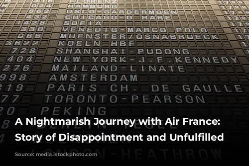 A Nightmarish Journey with Air France: A Story of Disappointment and Unfulfilled Expectations