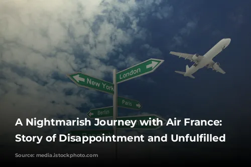 A Nightmarish Journey with Air France: A Story of Disappointment and Unfulfilled Expectations