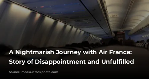 A Nightmarish Journey with Air France: A Story of Disappointment and Unfulfilled Expectations