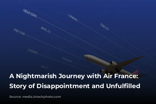 A Nightmarish Journey with Air France: A Story of Disappointment and Unfulfilled Expectations