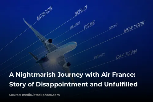 A Nightmarish Journey with Air France: A Story of Disappointment and Unfulfilled Expectations