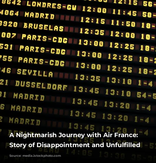 A Nightmarish Journey with Air France: A Story of Disappointment and Unfulfilled Expectations