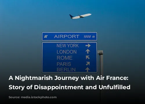 A Nightmarish Journey with Air France: A Story of Disappointment and Unfulfilled Expectations