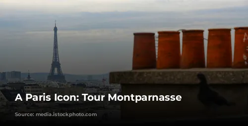 A Paris Icon: Tour Montparnasse