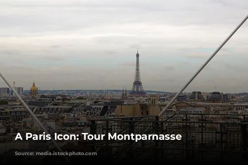 A Paris Icon: Tour Montparnasse