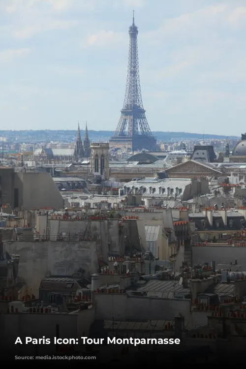 A Paris Icon: Tour Montparnasse