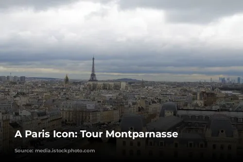 A Paris Icon: Tour Montparnasse