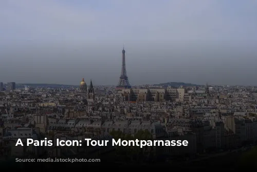 A Paris Icon: Tour Montparnasse