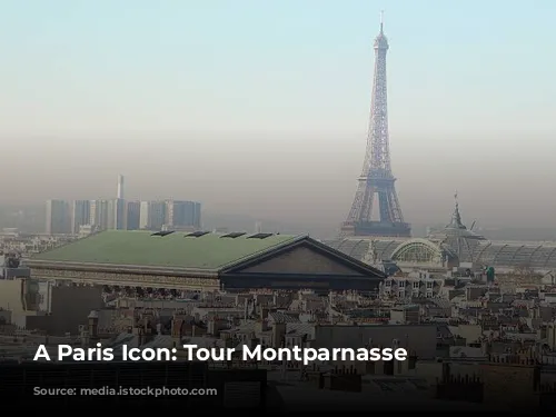 A Paris Icon: Tour Montparnasse