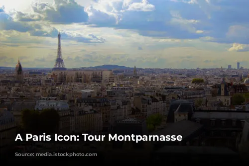 A Paris Icon: Tour Montparnasse