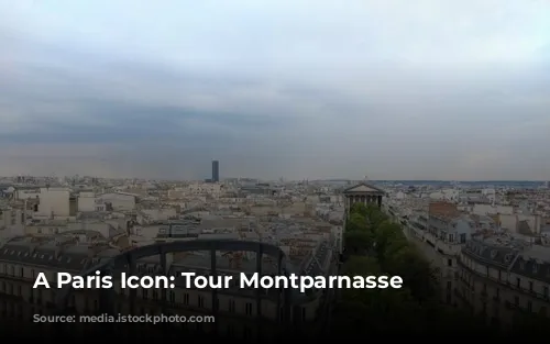 A Paris Icon: Tour Montparnasse