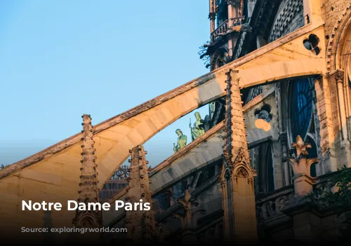 Notre Dame Paris