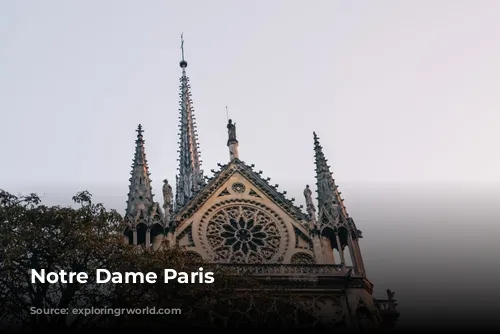 Notre Dame Paris