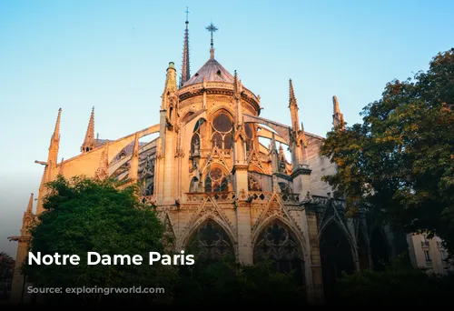 Notre Dame Paris