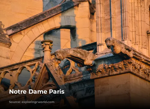 Notre Dame Paris