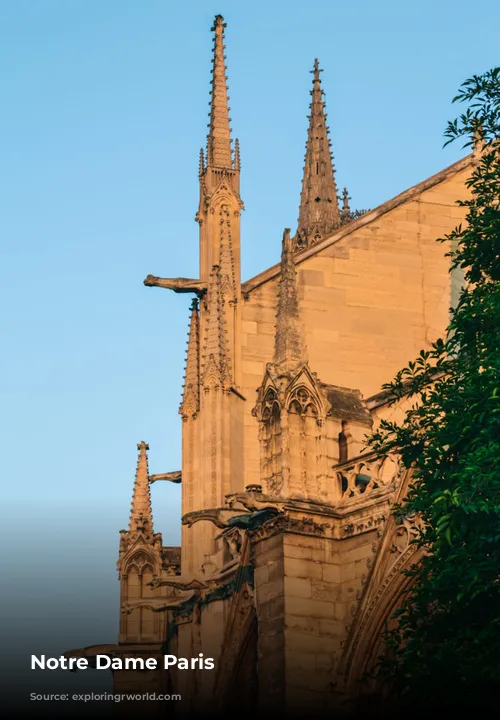 Notre Dame Paris