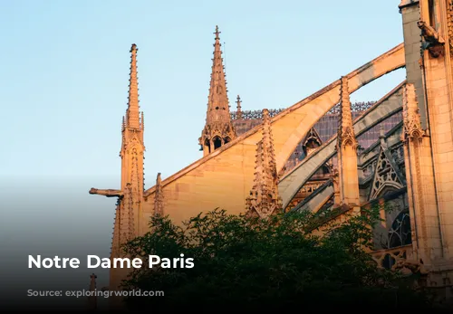 Notre Dame Paris