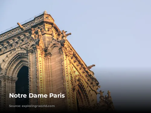 Notre Dame Paris