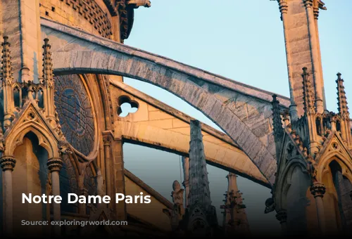 Notre Dame Paris