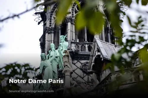 Notre Dame Paris