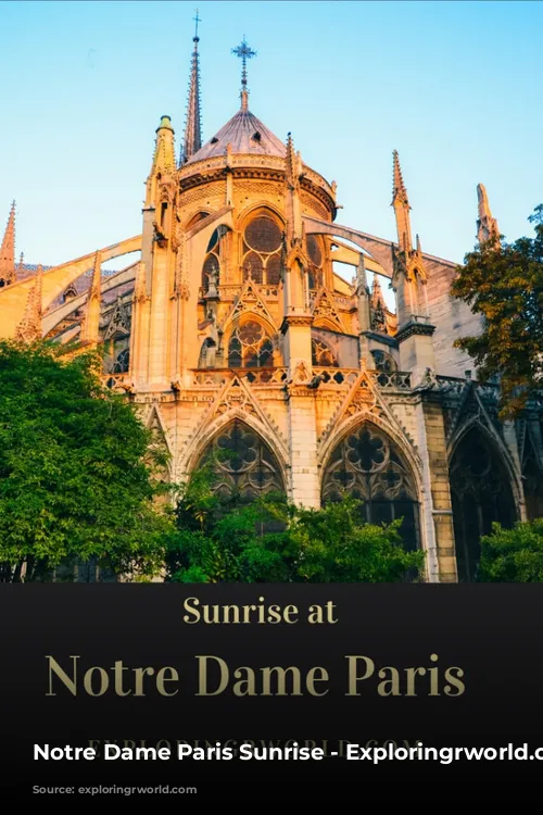 Notre Dame Paris Sunrise - Exploringrworld.com