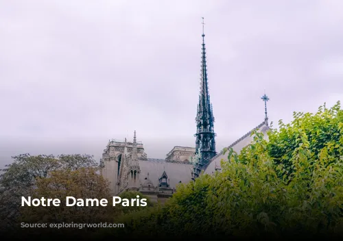 Notre Dame Paris