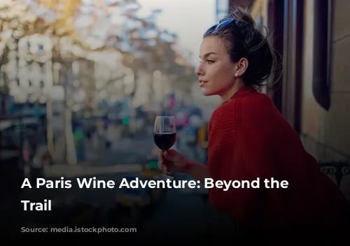 A Paris Wine Adventure: Beyond the Tourist Trail