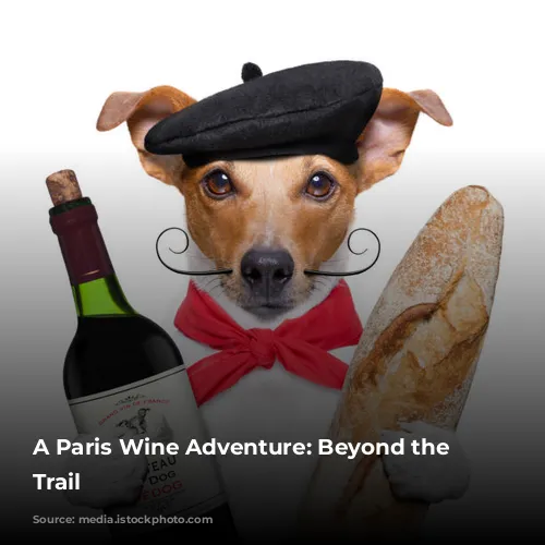 A Paris Wine Adventure: Beyond the Tourist Trail