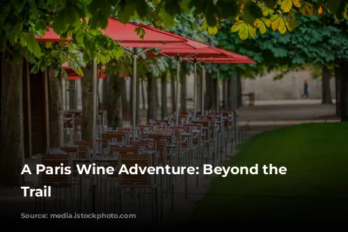 A Paris Wine Adventure: Beyond the Tourist Trail